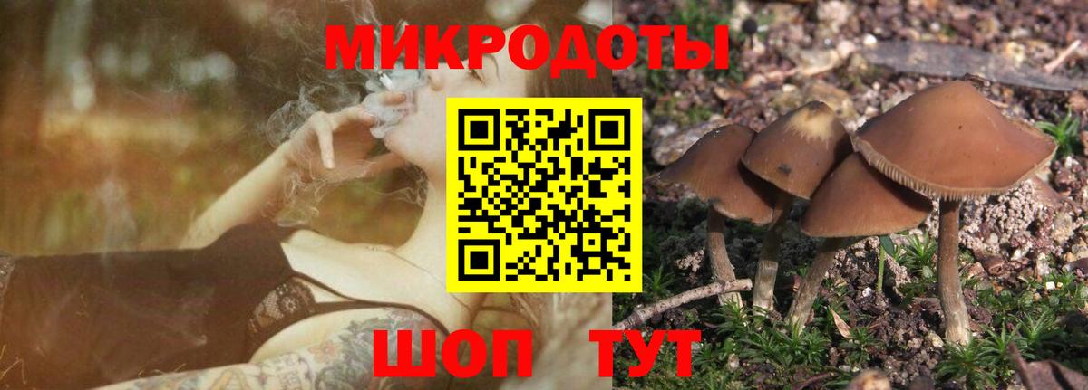 Ижевск  Галлюциногенные грибы GOLDEN TEACHER  Галлюциногенные грибы ЛСД  Вход с VPN 